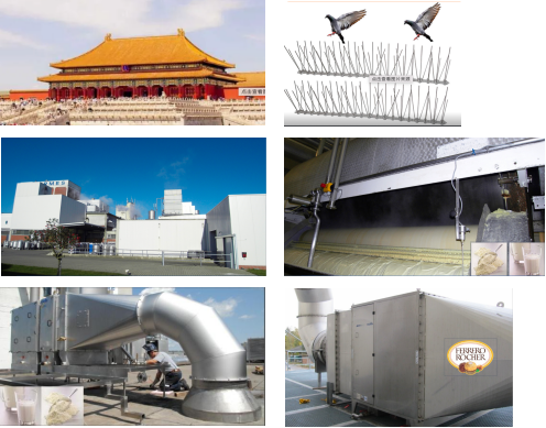 望徳周刊No. 1046 空气净化的照片故事（4）- 奶粉工厂和巧克力工厂的屋顶生态防鸟方案
